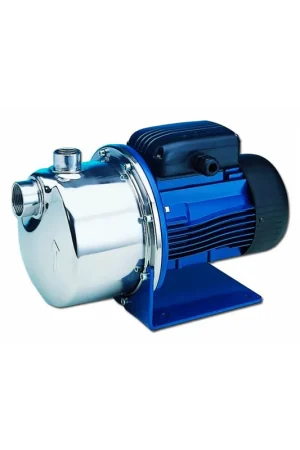 Pompe à eau autoamorçante Lowara BG 4.2 monophasé 220V - Pompe de surface pour puit Quantité Limitée