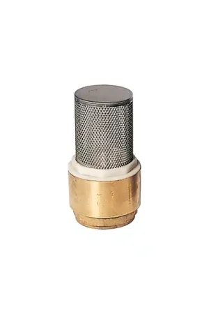 Clapet crépine inox(2'') Promotion