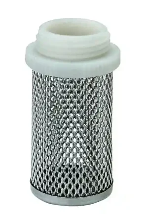 Achetez Aujourd'hui Crépine inox(2'')