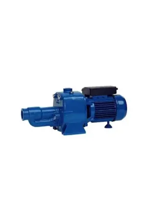 Pompe auto-amorçante CAM 200 Speroni(CAM 200 Mono) Meilleur Prix