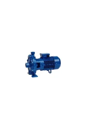 Produit De Marque Pompe bicellulaire 2C 40 Spéroni(2C 40/180B)