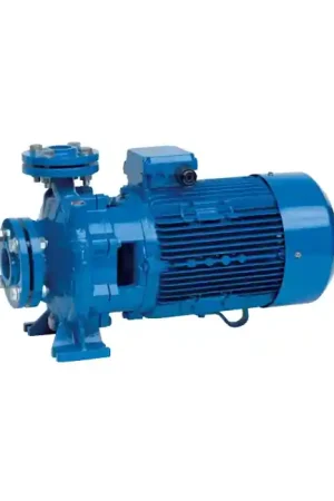 Promotion Saisonnière Pompe monocellulaire CS 40 Speroni(CS 40/200B T)