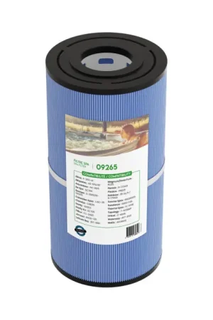 Prix Promo Filtre spa (40353 / C-4335 / PRB35-IN / T-4335 / FC-2385)