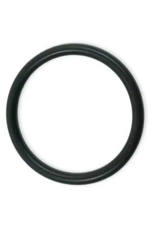Joint Torique Quartz Pour Stérilisateur UV AP 36 E, AP 60 ACS Et 3 E Achat Immédiat