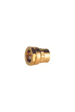 Certifié Raccord laiton femelle pour tube PE 32 - 3/4"