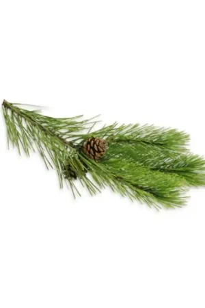 Bain de vapeur SENTIOTEC huiles aromatiques, aiguilles de pin 5 l Offre Spéciale