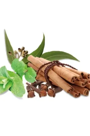 Concentré de parfum pour sauna HARVIA, épices et menthe 1 l Acheter En Ligne