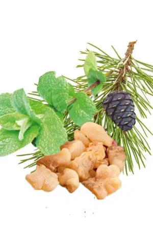 Remise Concentré de parfum pour sauna HARVIA, menthe poivrée, pin, encens et myrrhe 1 l