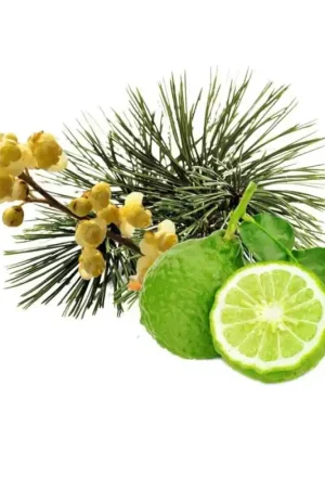 Must-Have Concentré de parfum pour sauna HARVIA, pin arolle, bergamote et litsea cubeba 1 l