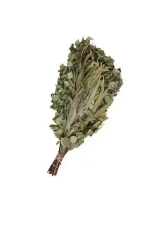Fouet de sauna en bouleau et eucalyptus Must-Have