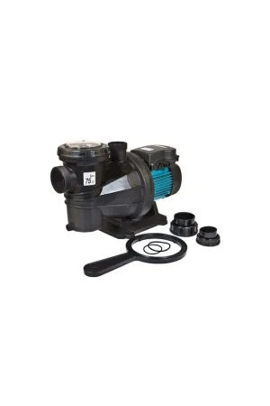 Commander Maintenant Pompe piscine Silver
