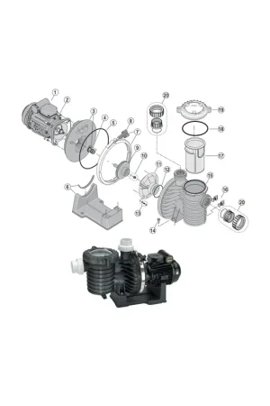 8 - Manette serrage Sta Rite 5P6R Réduction